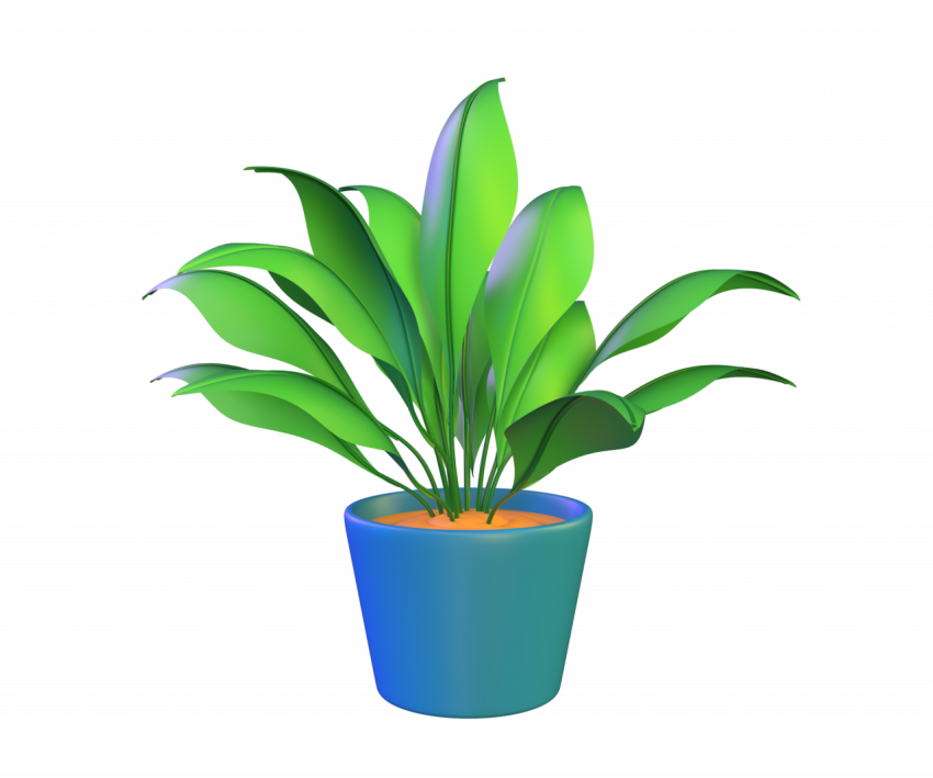 House plant for decoration - 3D image