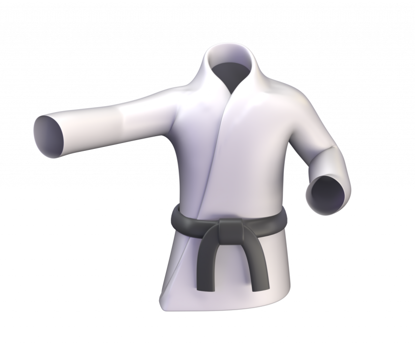 Judo - 3D image