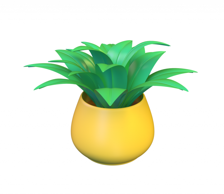 House plant - 3D image