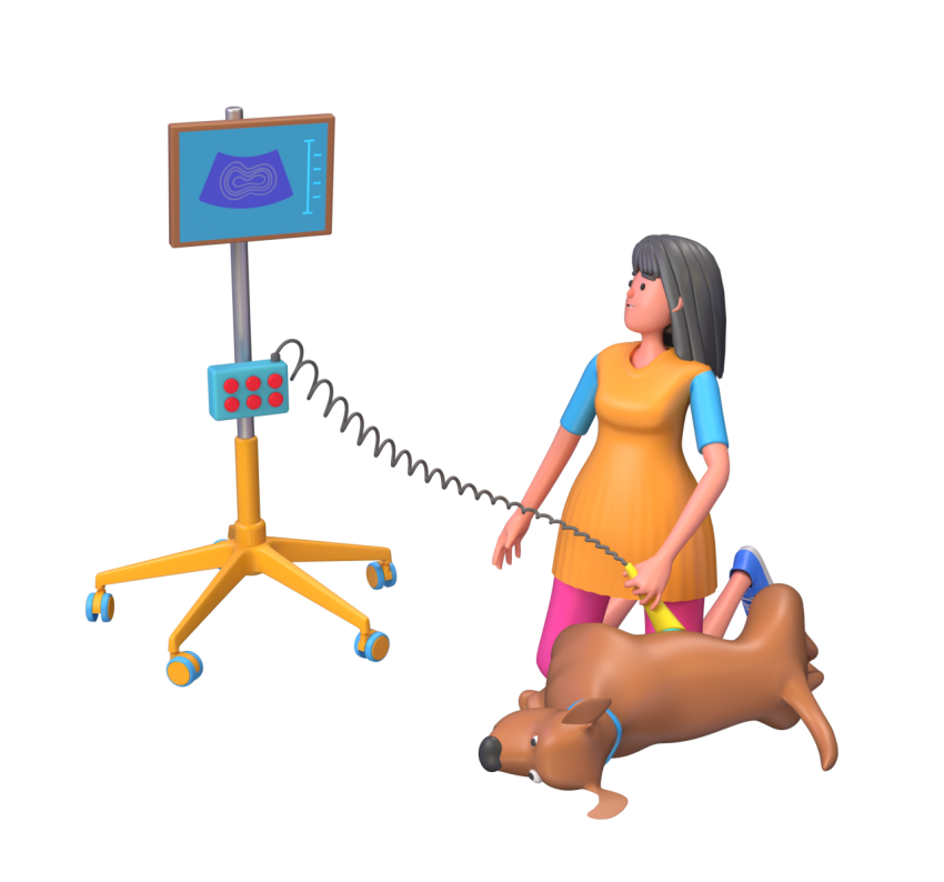 Midwives - 3D image