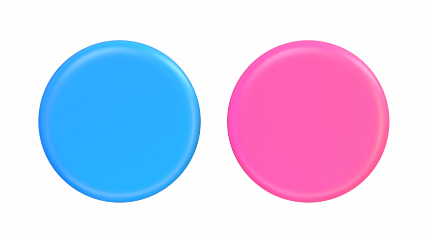 Flickr icon without background - 3D image