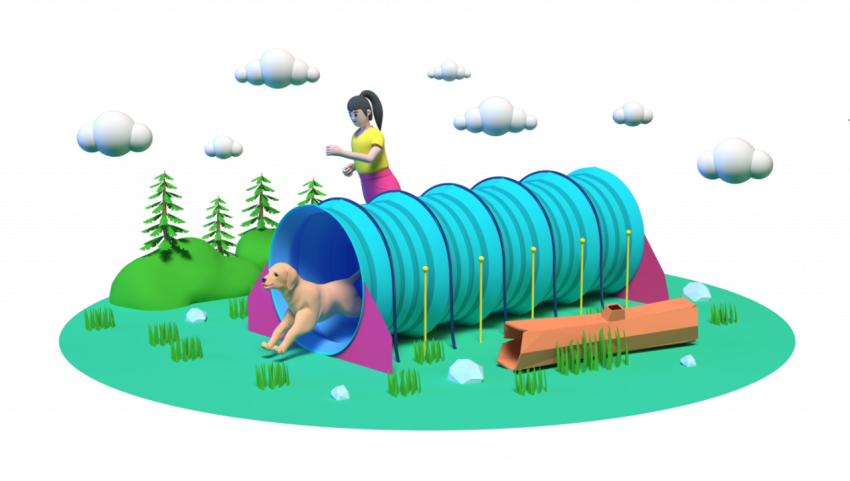 Obstacle course for training dogs - 3D image