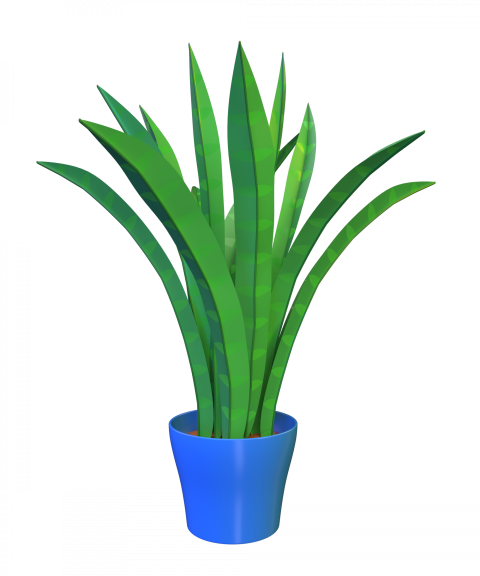 Dessert Plant - 3D image