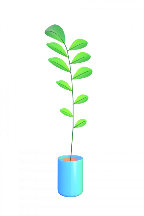 Small Plant - 3D image