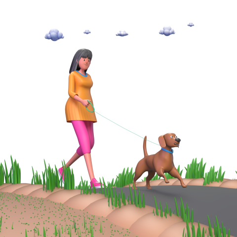 Walking With Dog - 3D image