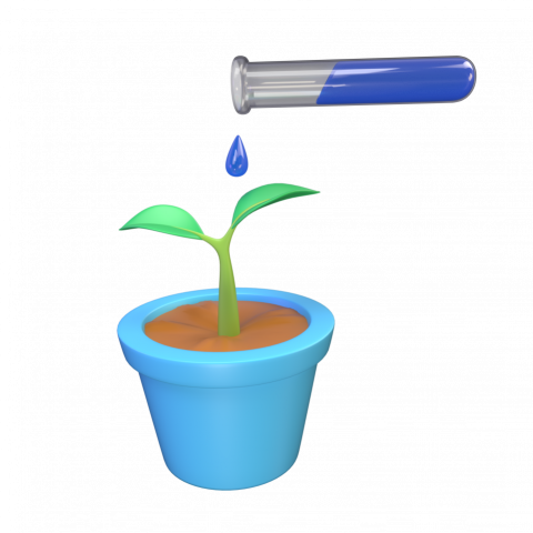 Plant Testing - 3D image